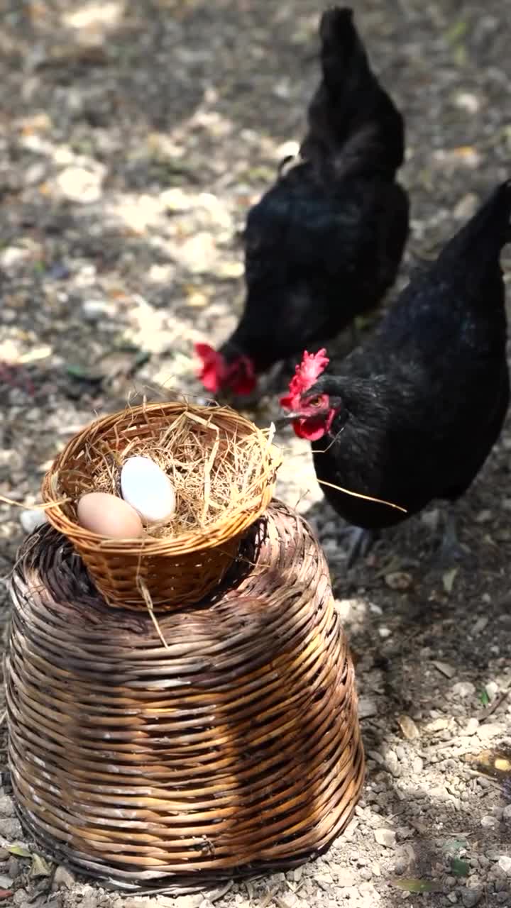 Halabağı Kahvaltı Bahçesi video