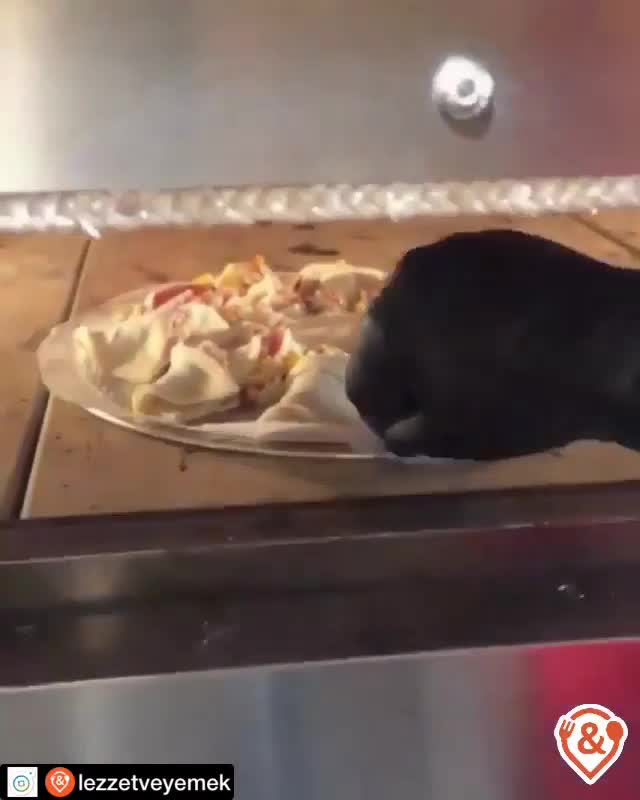 Paprica Ristorante & Pizza video