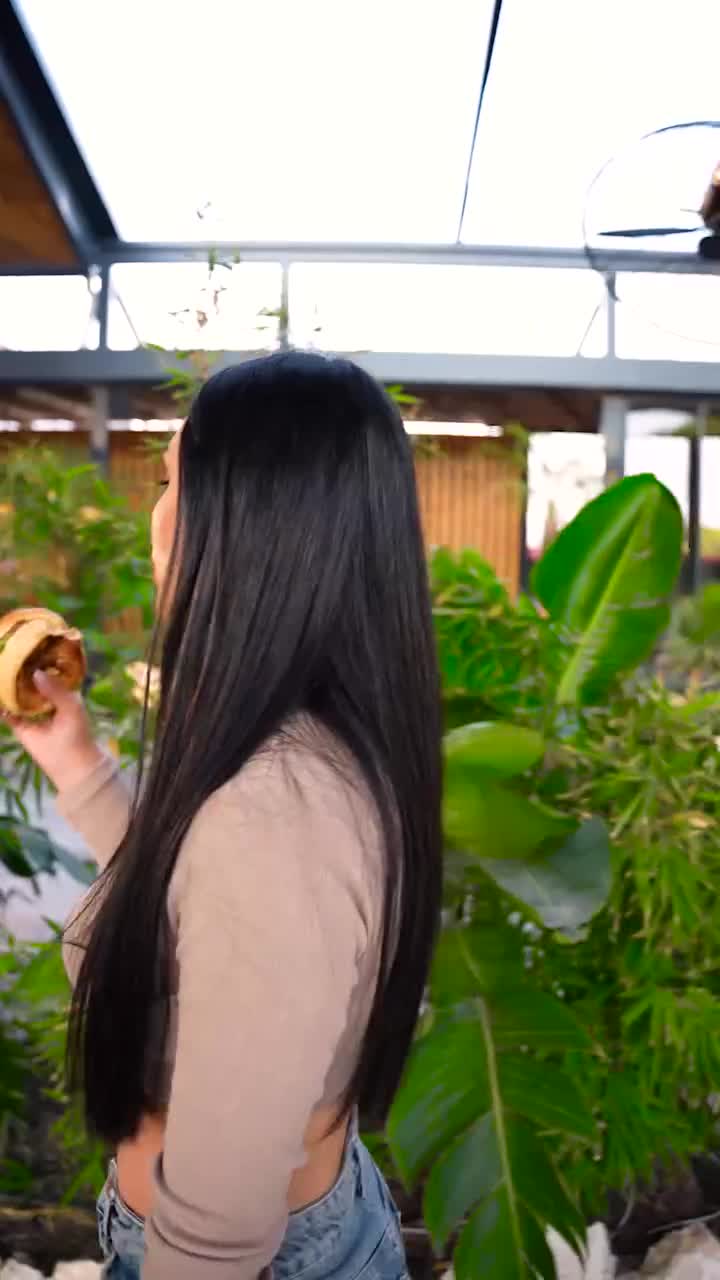Ohannes Burger Gaziemir video