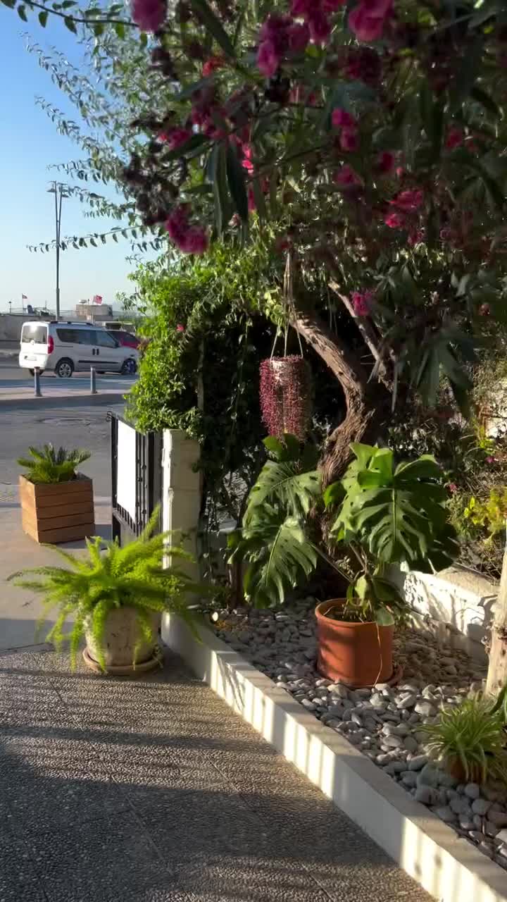 'Dut Restaurant Cafe Bar video
