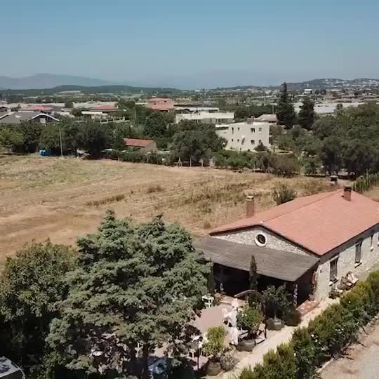 Urla Vino Locale video