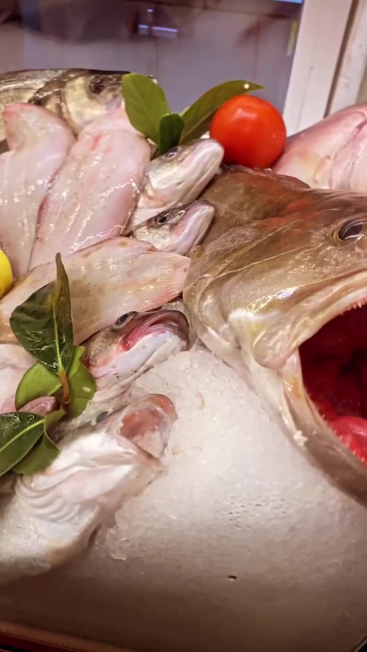 Sardin Balık Restaurant video