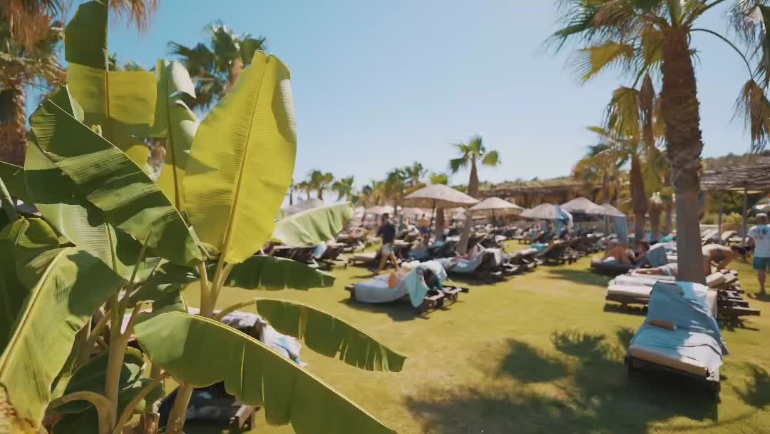Fly-Inn Beach Club video