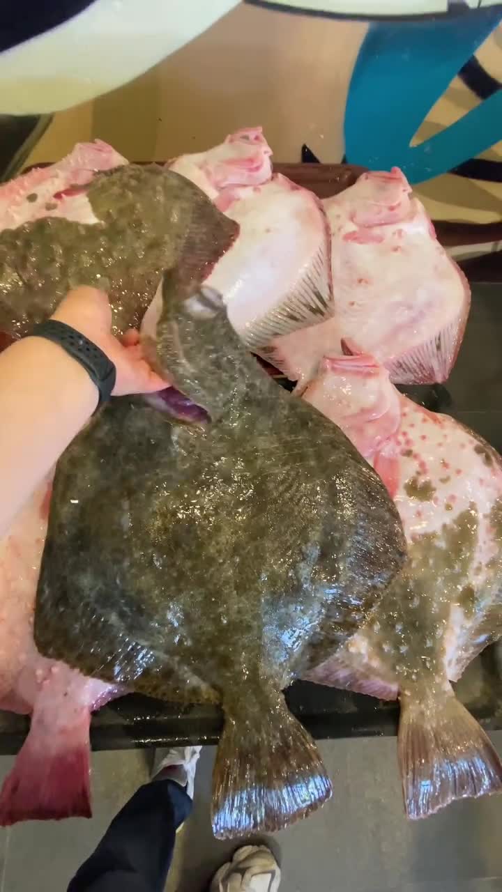 Sardin Balık Restaurant video