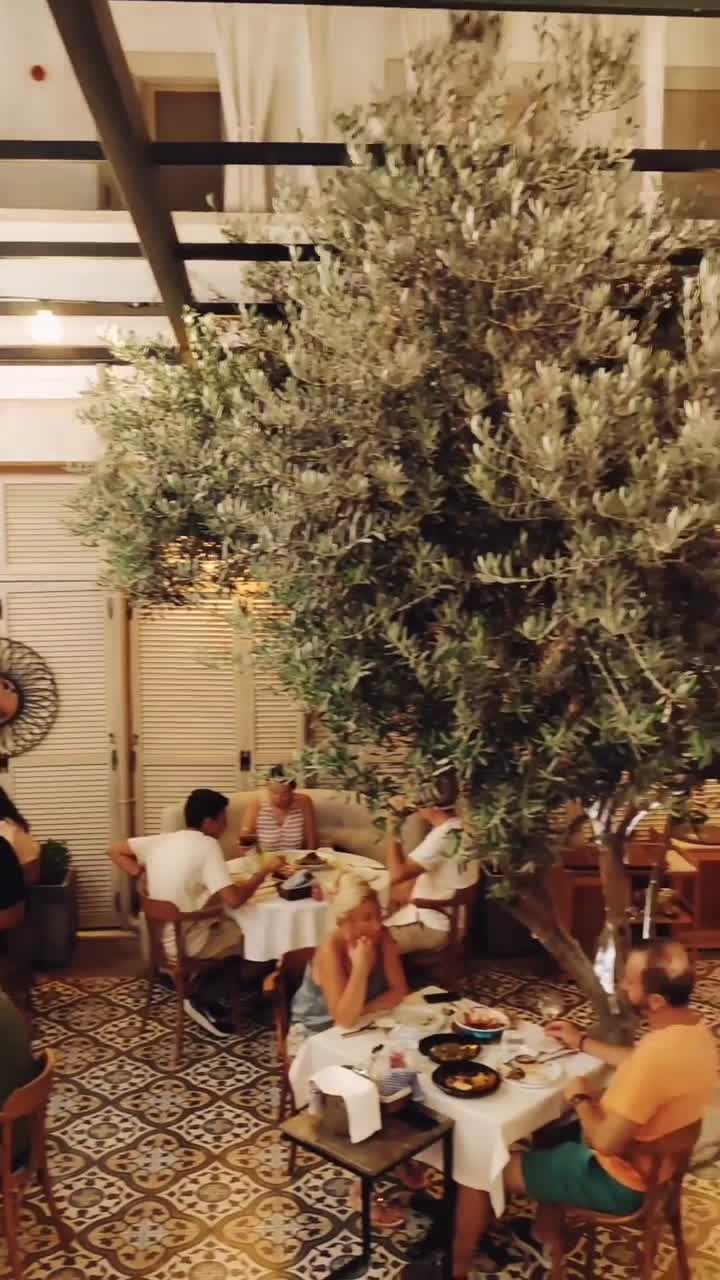 Sota Alaçatı video