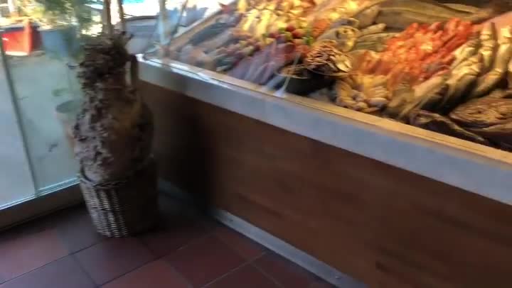 Fahri'nin Yeri Alaçatı video